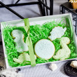 Dinosaur Iced Cookie Gift Set
